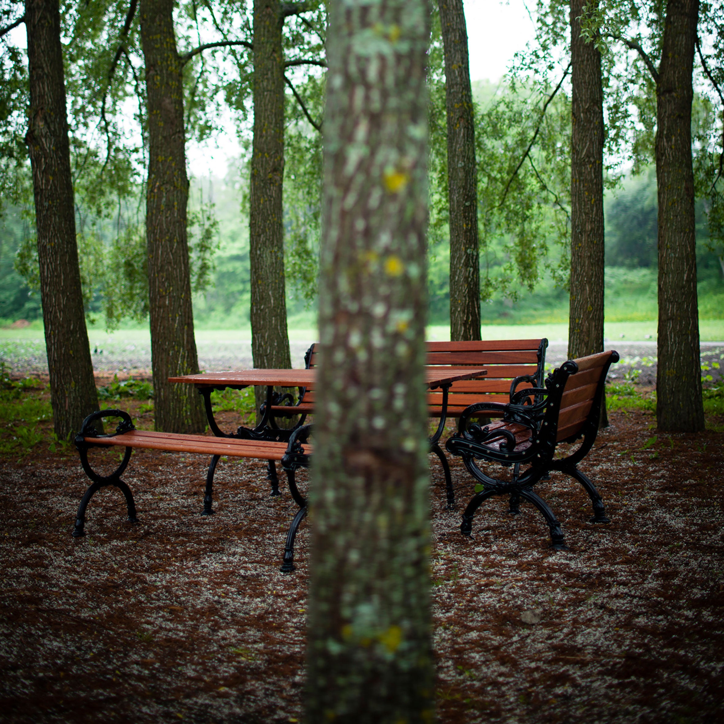 Sofa Byarum / 185cm / g:hvid / v:olieret mah. Byarum Mølle