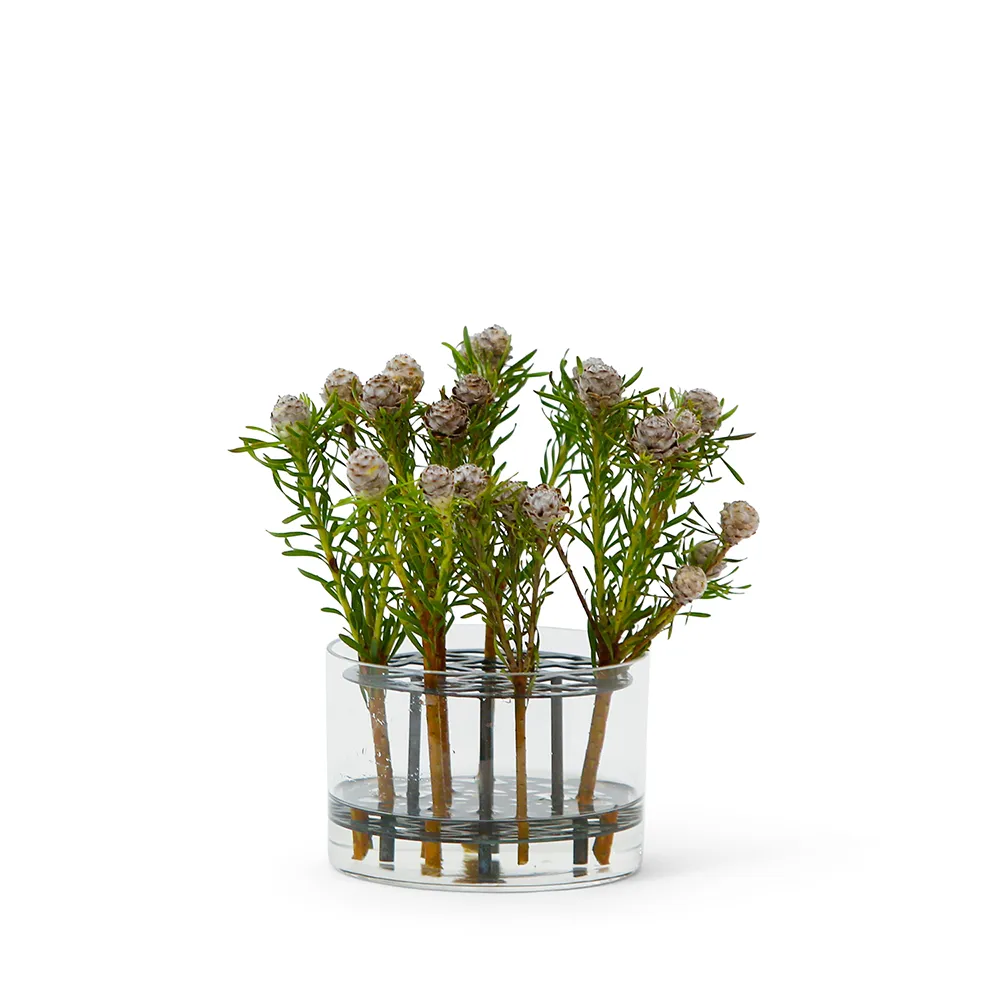 Klong, Vase Äng Small Blågrøn