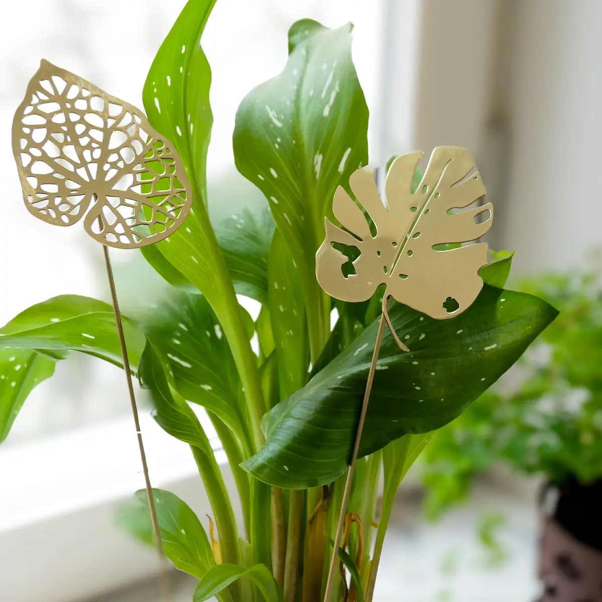 Brass Leaves Water dekorationsblade messing
