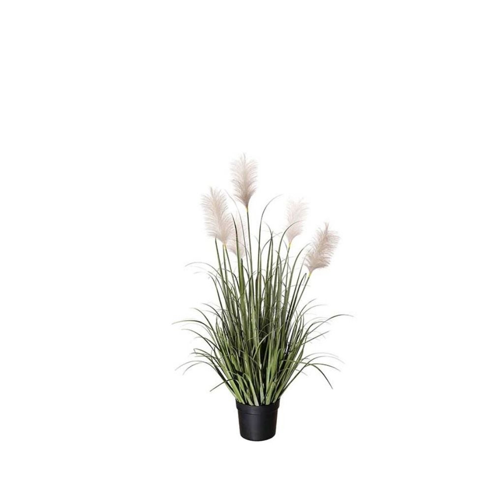 Mr Plant, Græs 110cm
