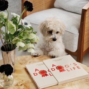 Hunde Dagbog A Dog's Life