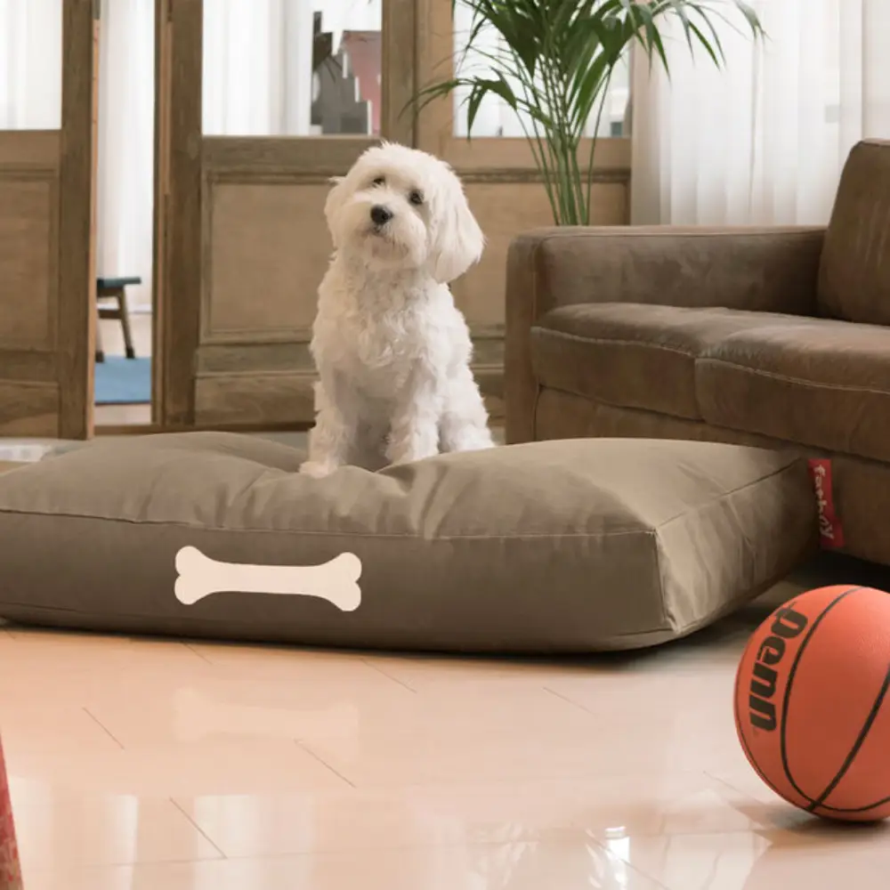 doggielounge L canvas Hunde seng recycled taupe grey