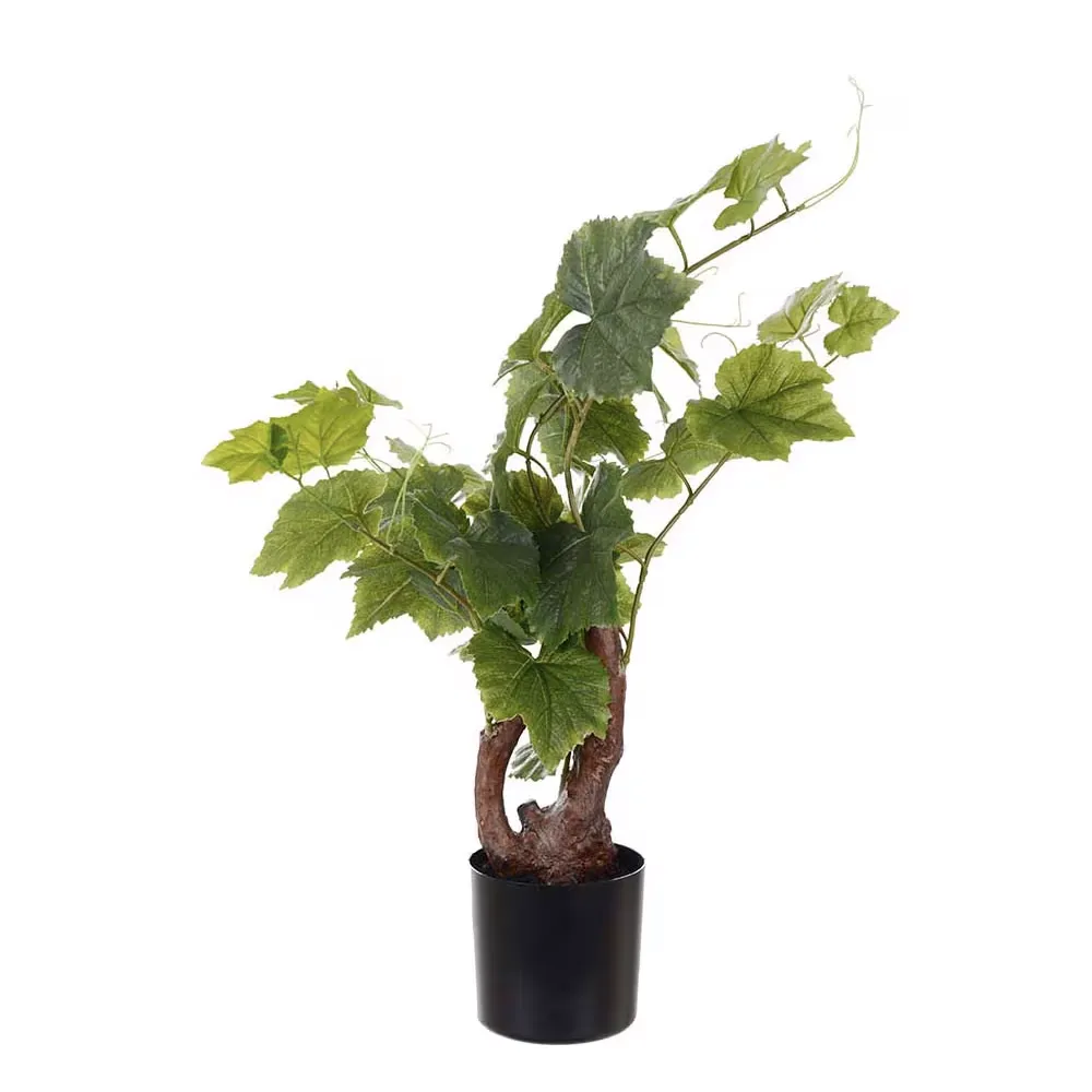 Mr Plant, Vinstok 55 cm