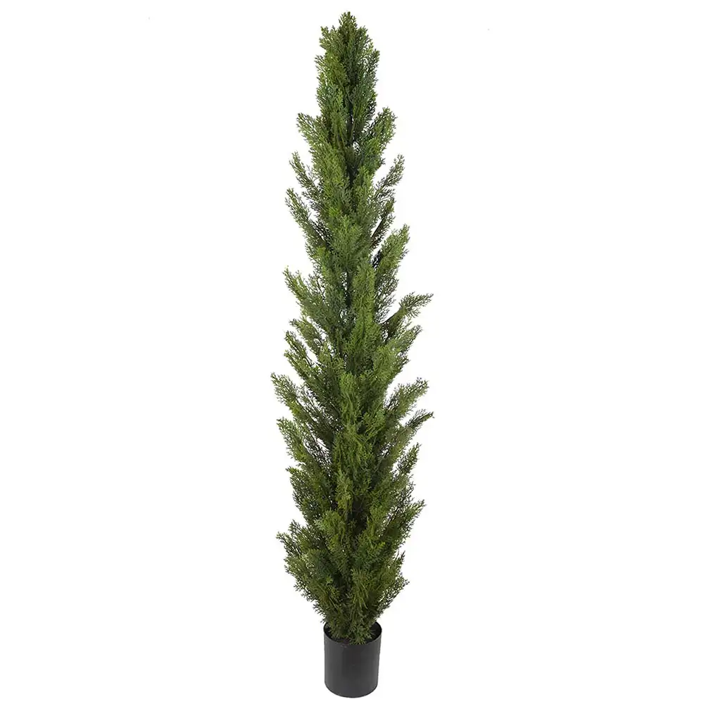 Mr Plant Cypres Træ 180 cm