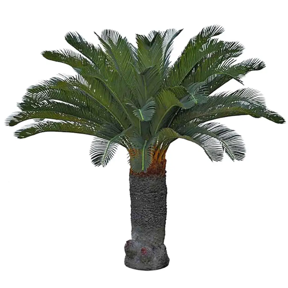 Mr Plant Cycas Palme 100 cm
