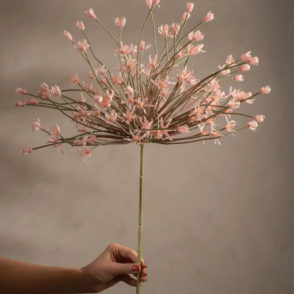 Allium Pink 125 cm