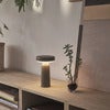 Ease transportabel lampe Grey 