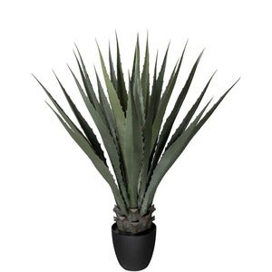 Agave grøn 100 cm