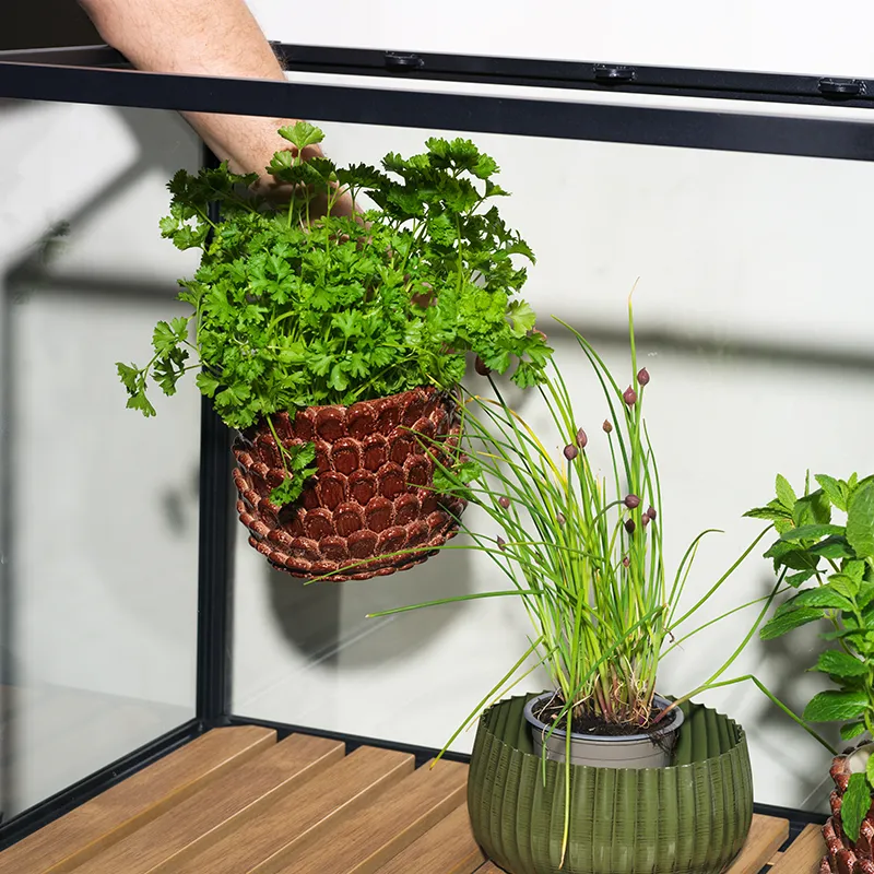 Grower Greens planteskab S sort 