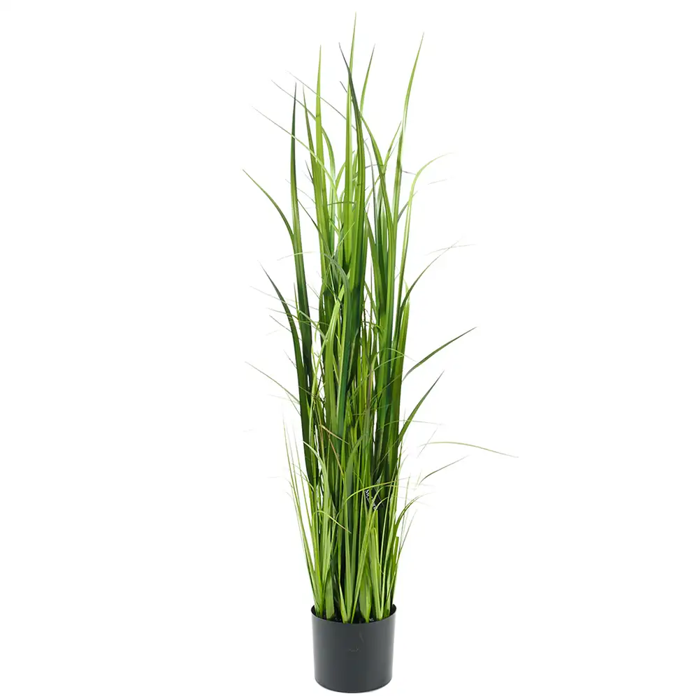 Mr Plant Græs 135 cm