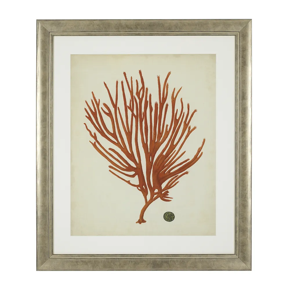 Print Antique Red Corals set of 6