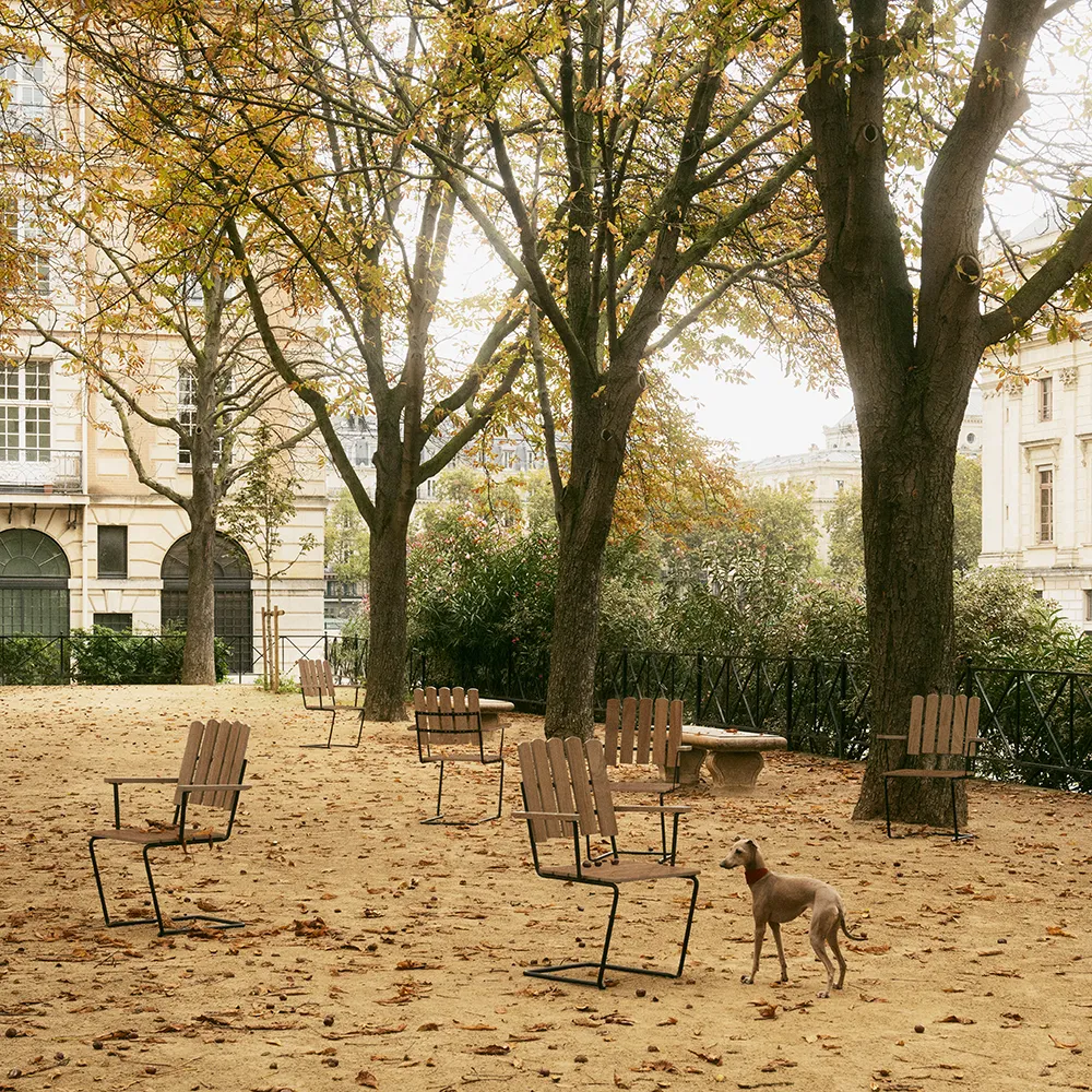 A2 Lænestol ubehandlet teak/sort stel