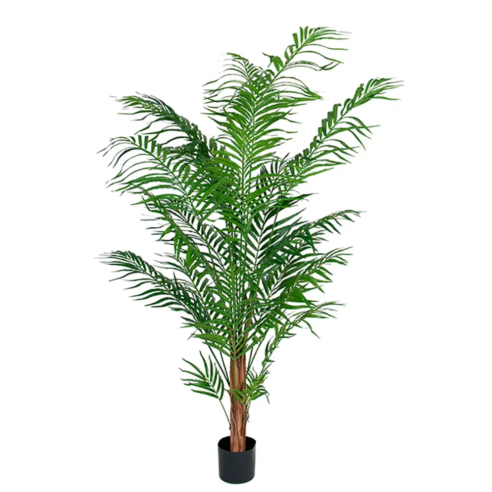 Mr Plant Arekapalme 120 cm