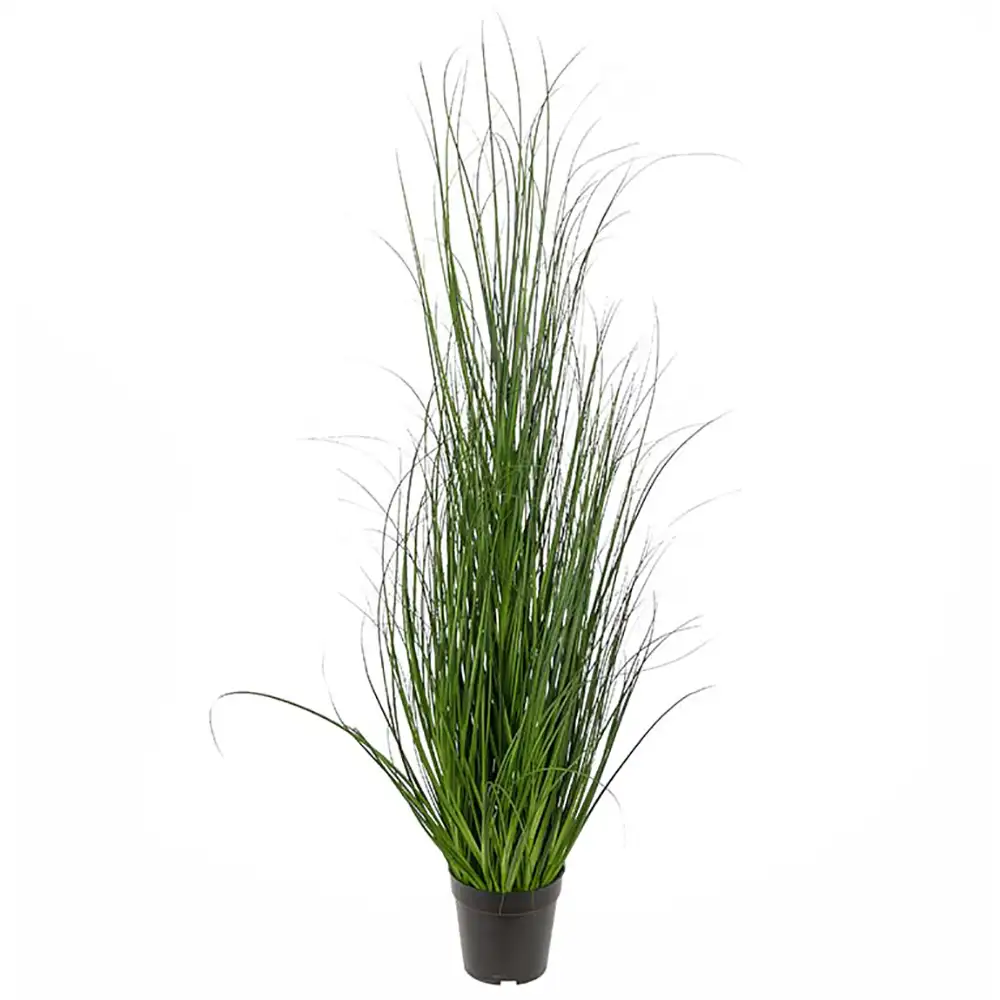 Mr Plant Græs 110 cm