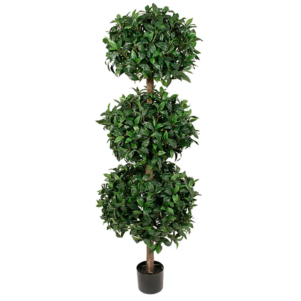 Mr Plant Lagerbladstræ 150 cm