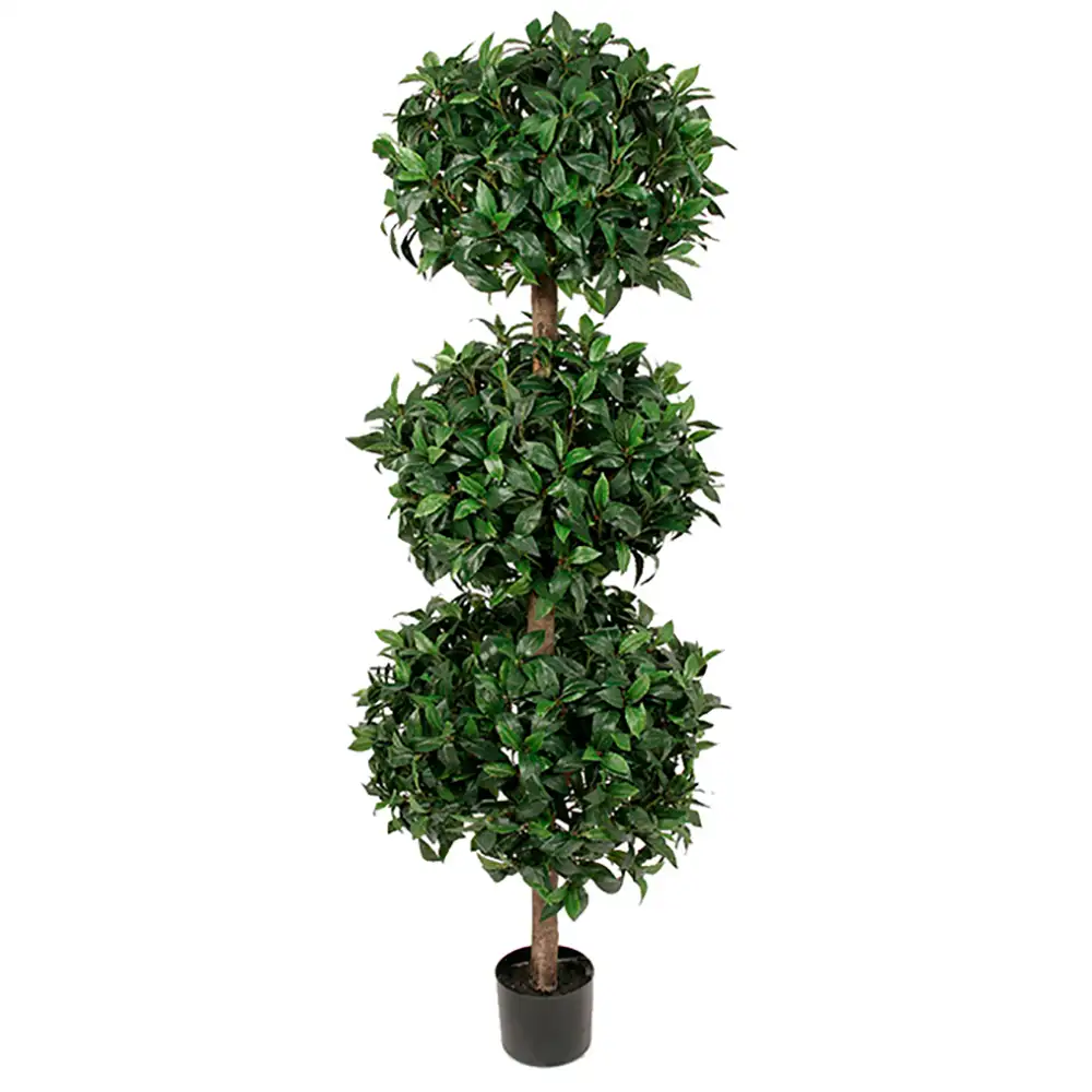 Mr Plant, Lagerbladstræ 150 cm
