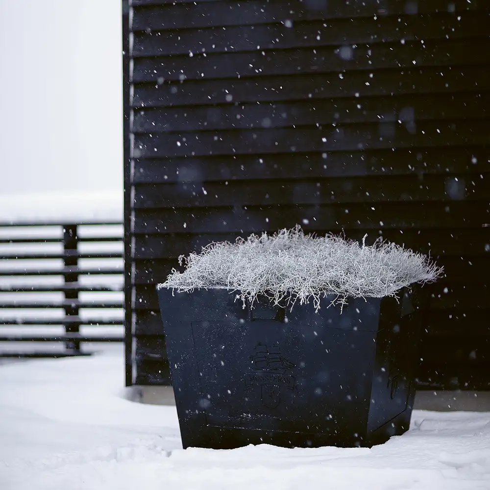 Karl Xl plantepotte sort