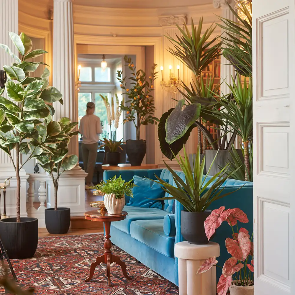 Figen Elastica 220 cm