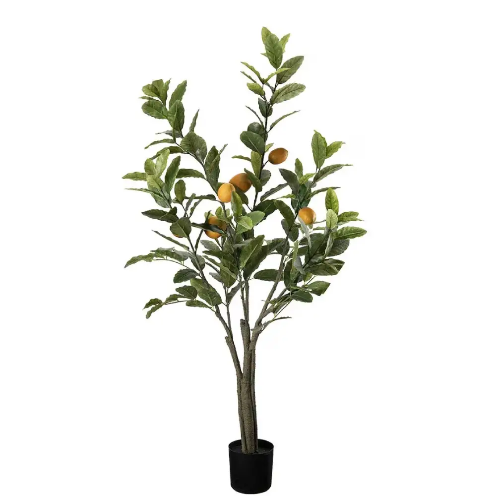 Mr Plant, Citrontræ Grøn 120 cm
