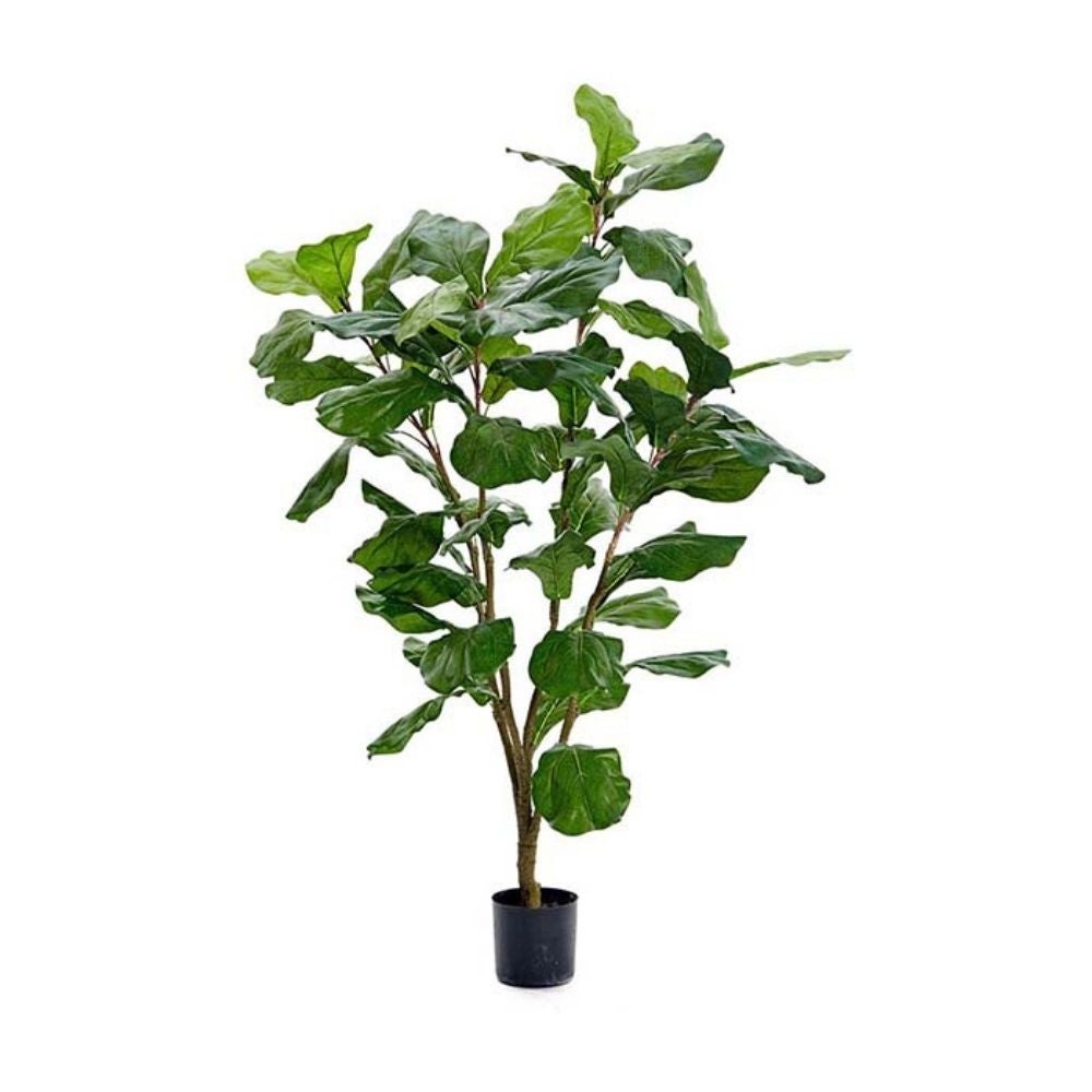Mr Plant, Fiolfikus Grøn 90 cm