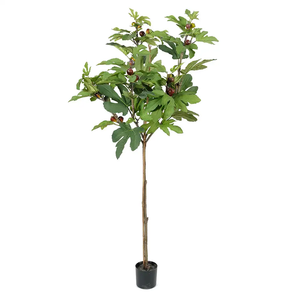 Mr Plant Figen Træ 150 cm