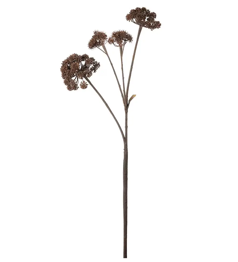 Mr Plant, Angelica Brown Snitplante 125 cm