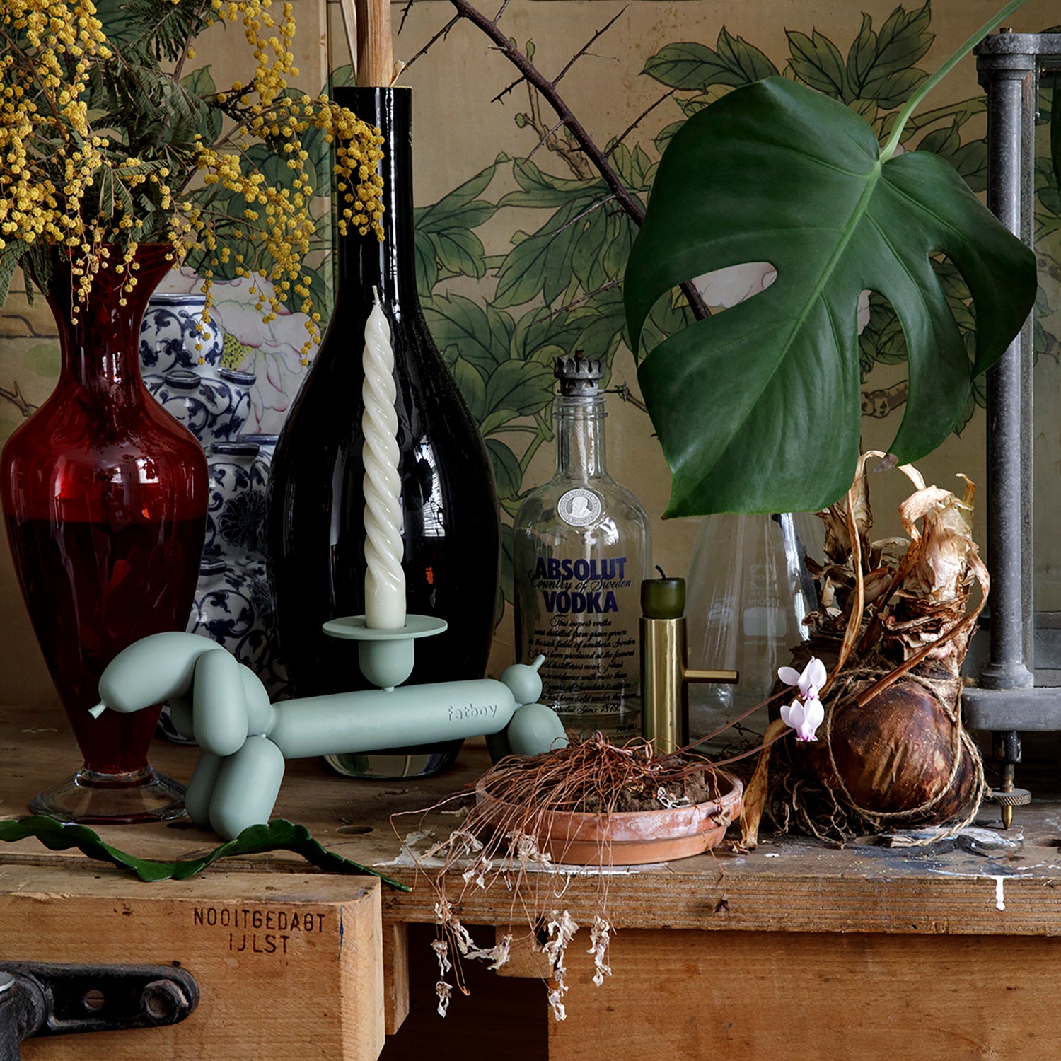 Can-dog lysestage anthracite 