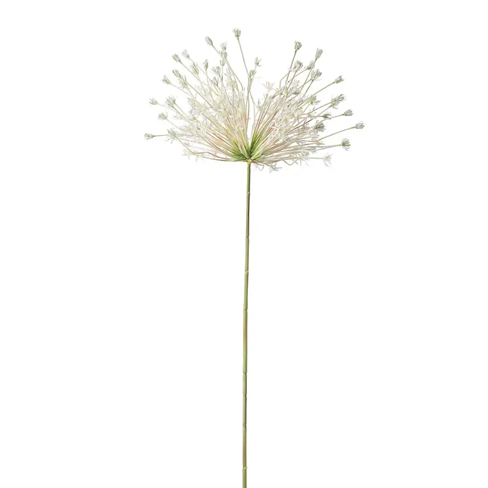 Mr Plant, Allium Hvid 125 cm