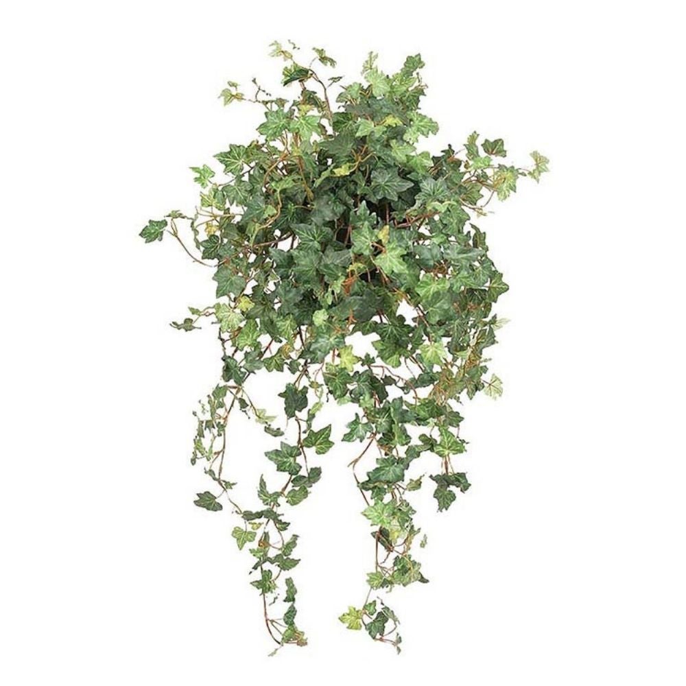 Mr Plant, Vedbend Grøn