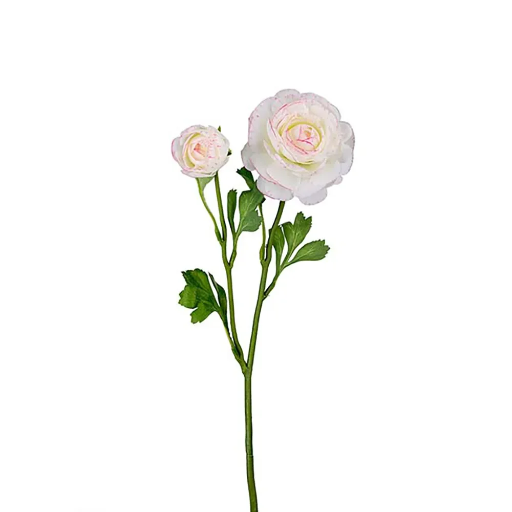 Mr Plant, Ranunkel afskåret blomst 45 cm flerfarvet