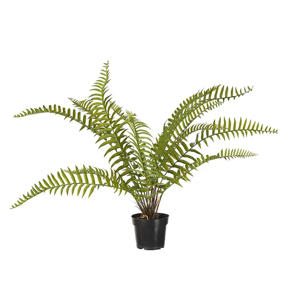 Mr Plant Bregne 90 cm