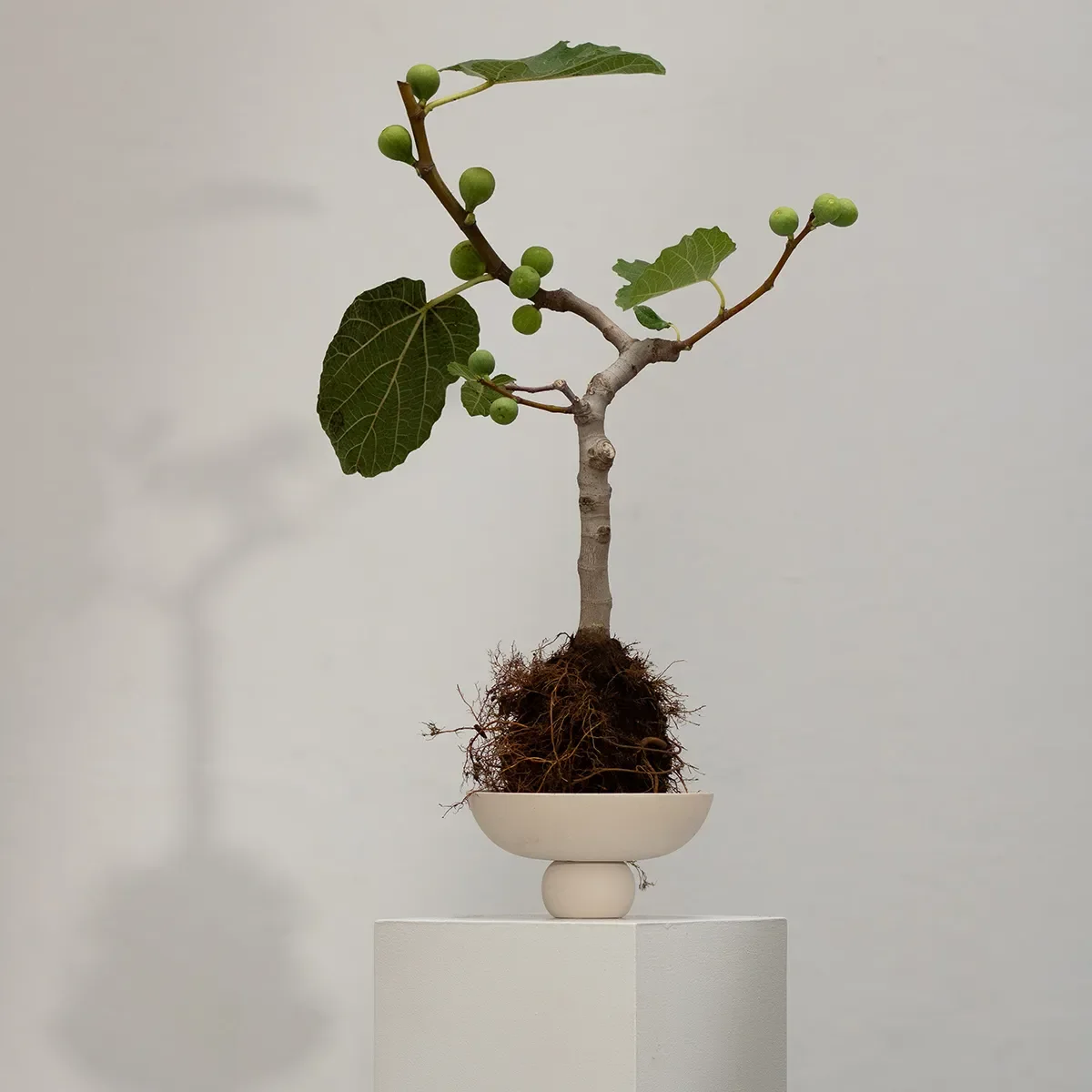 Håndmalet dekorationsskål Baburu Mini Birch Ø 20 cm