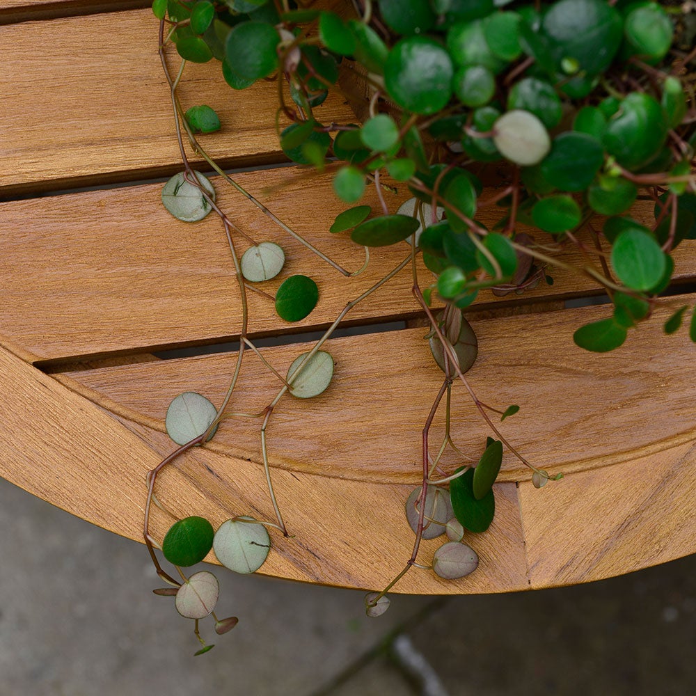 Lounge-sofabord 80 cm teak