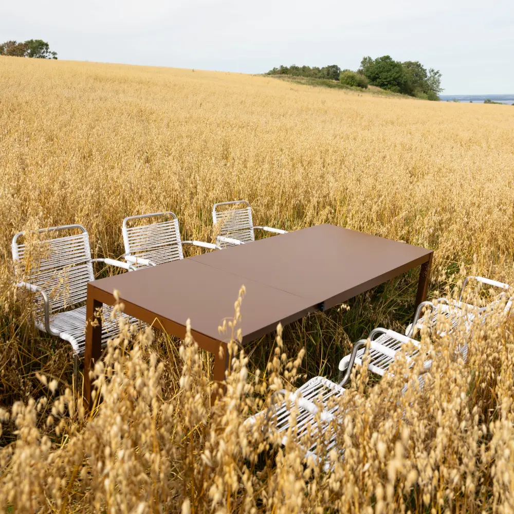 Aria extendable rust