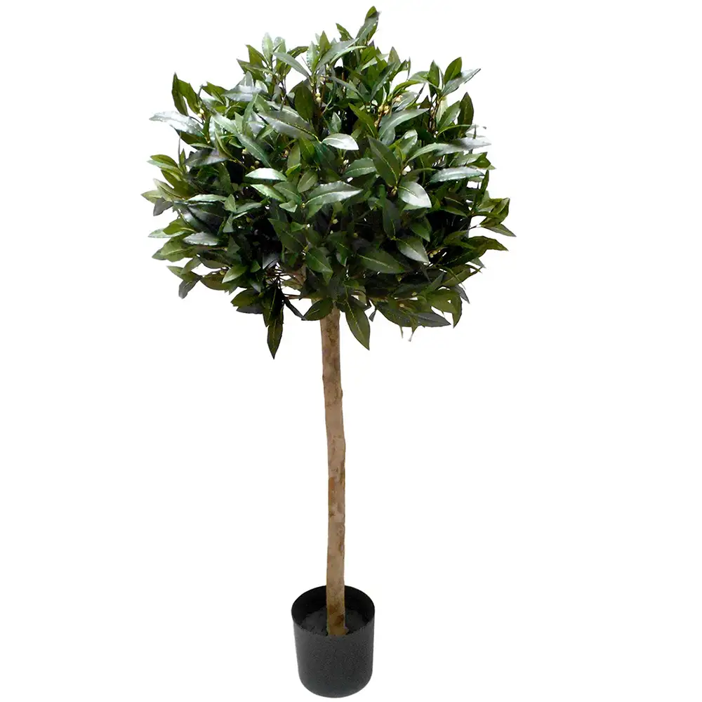 Mr Plant, Lagerbladstræ 150 cm