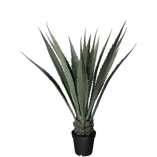 Agave grøn 120 cm