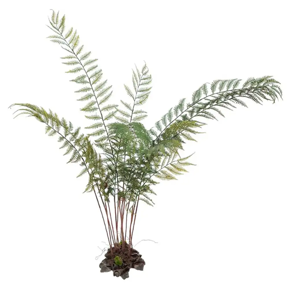 Mr Plant Bregne 80 cm
