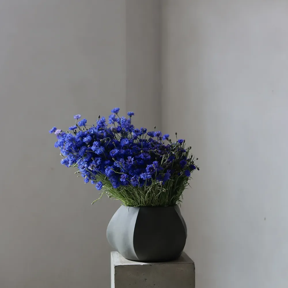 Arket Krukke Mini - Dark Grey