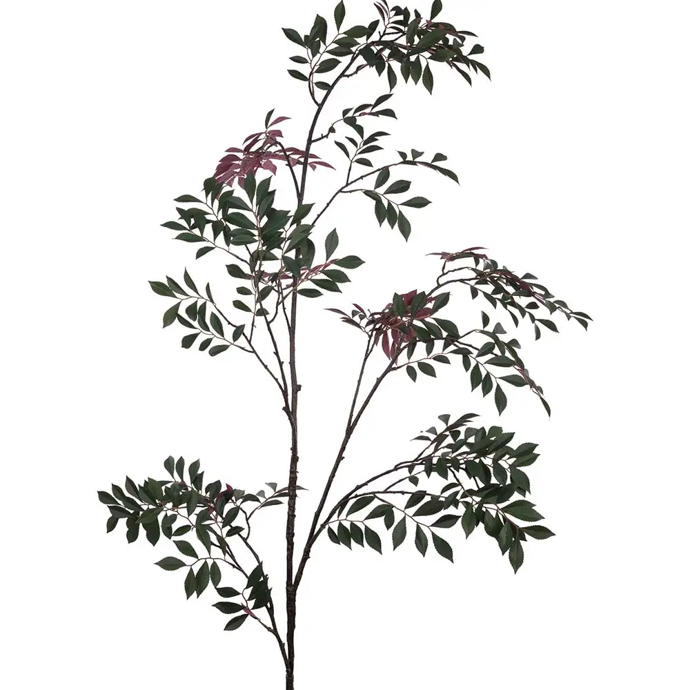  Japansk rønekvist 230 cm