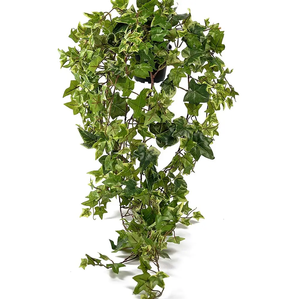 Mr Plant, Ivy potte 85 cm
