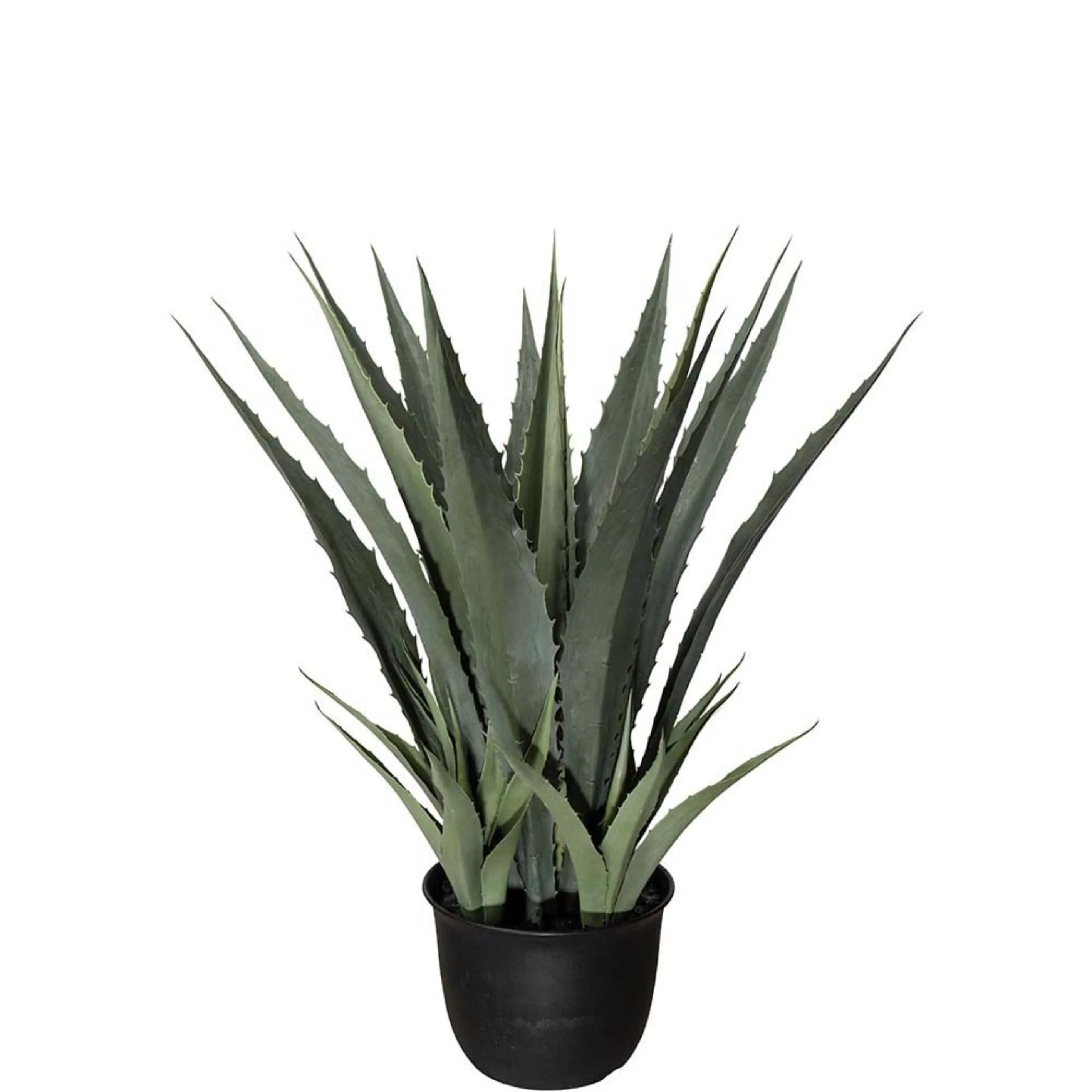 Mr Plant, Agave grøn 100 cm