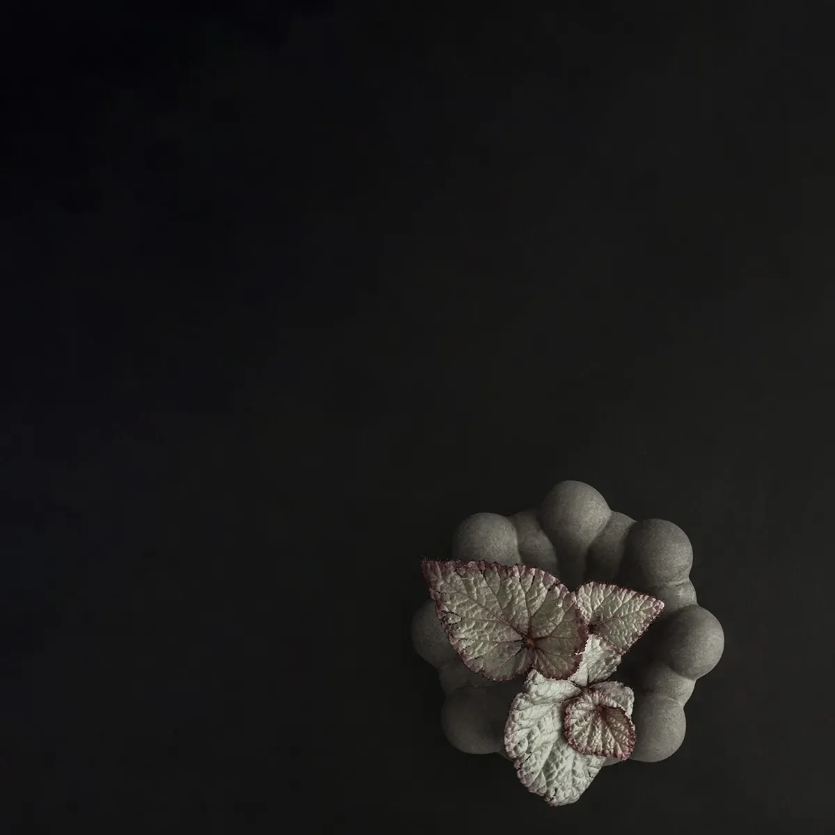 Håndlavet Dekorationsskål Bloom Dark Grey Ø 15,5 cm