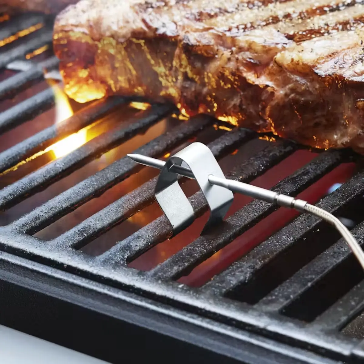 Smart termometer med ledning