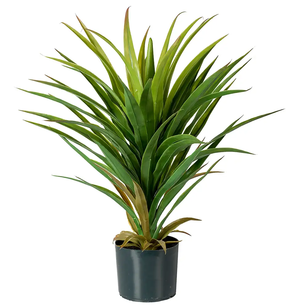 Mr Plant Yucca Potteplante 70 cm
