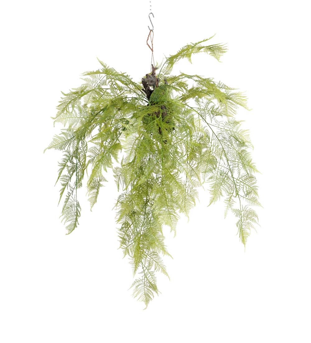 Mr Plant, Bregnegrøn 110 cm