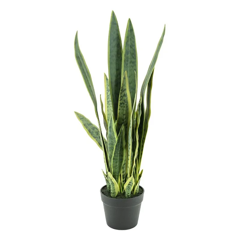 By-Boo, Sansevieria 25.5x25.5x78 cm