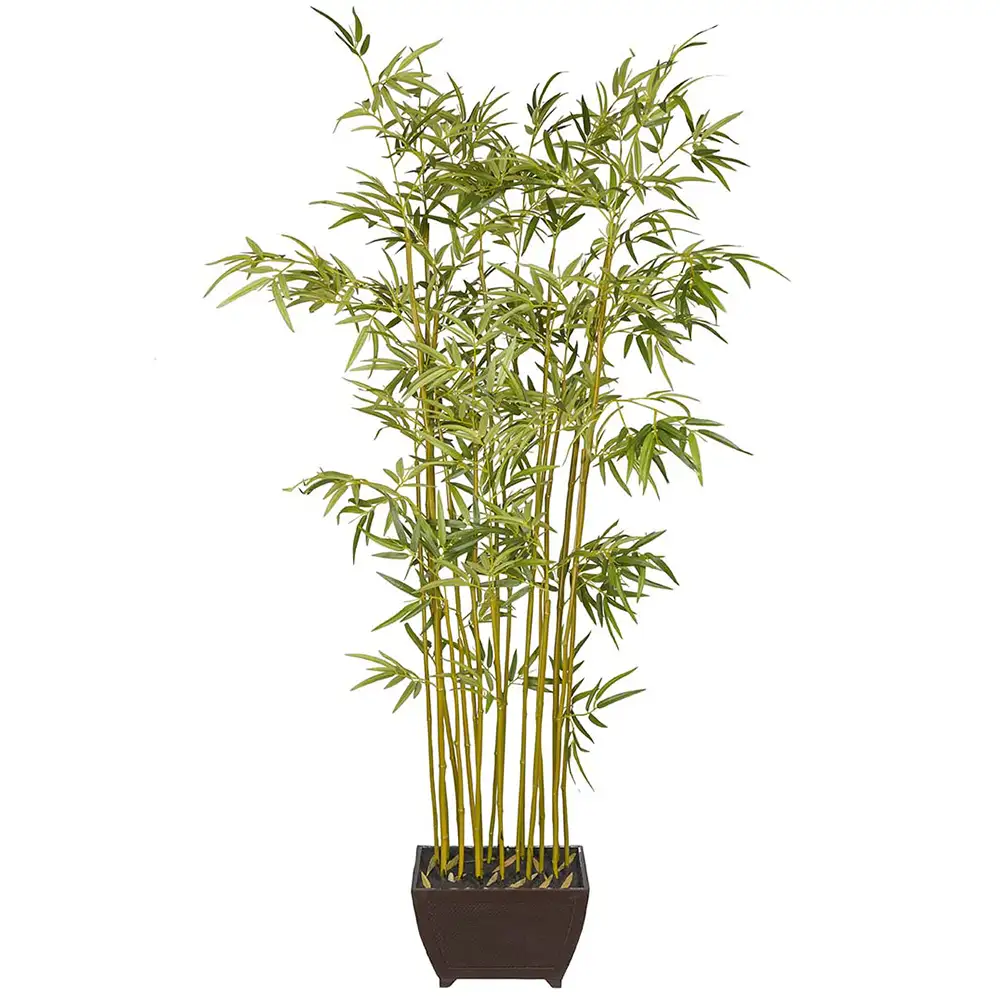 Mr Plant Bambu 190 cm