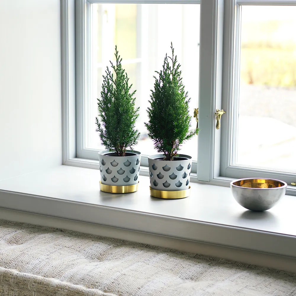 Trio Drop Small fad i grå messing