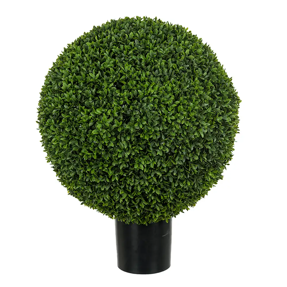 Mr Plant, Buxbom i potte 65 cm