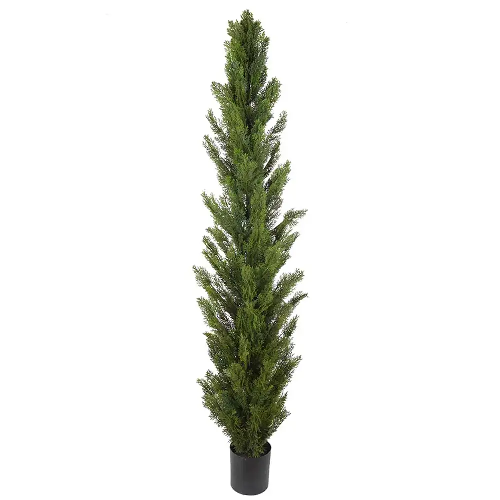 Mr Plant Cypres Træ 150 cm